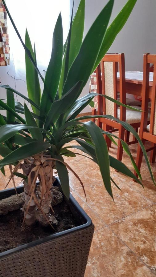 Bajusz Vendeghaz Hotel Tornyosnemeti Bagian luar foto