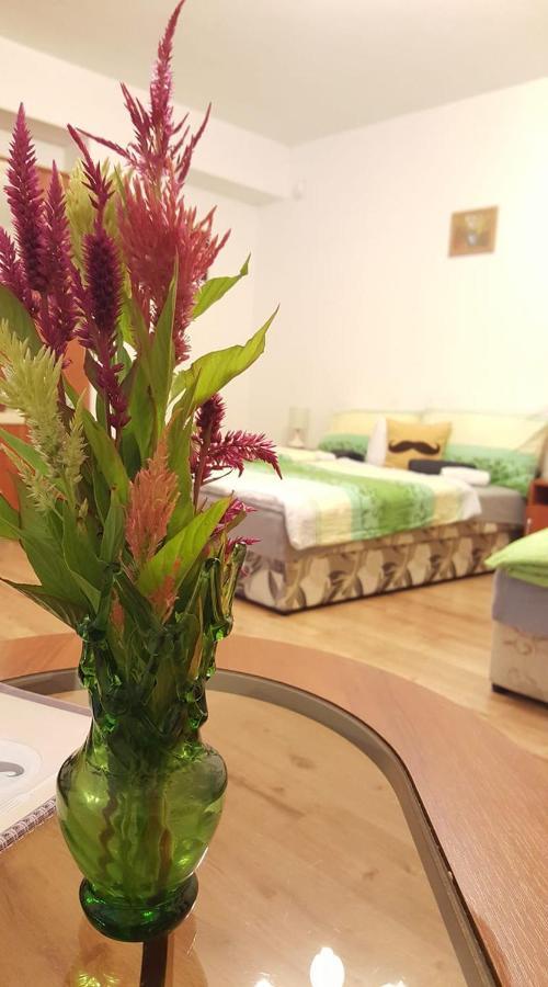 Bajusz Vendeghaz Hotel Tornyosnemeti Bagian luar foto