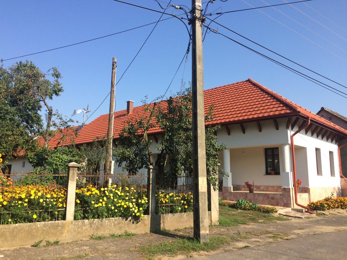 Bajusz Vendeghaz Hotel Tornyosnemeti Bagian luar foto