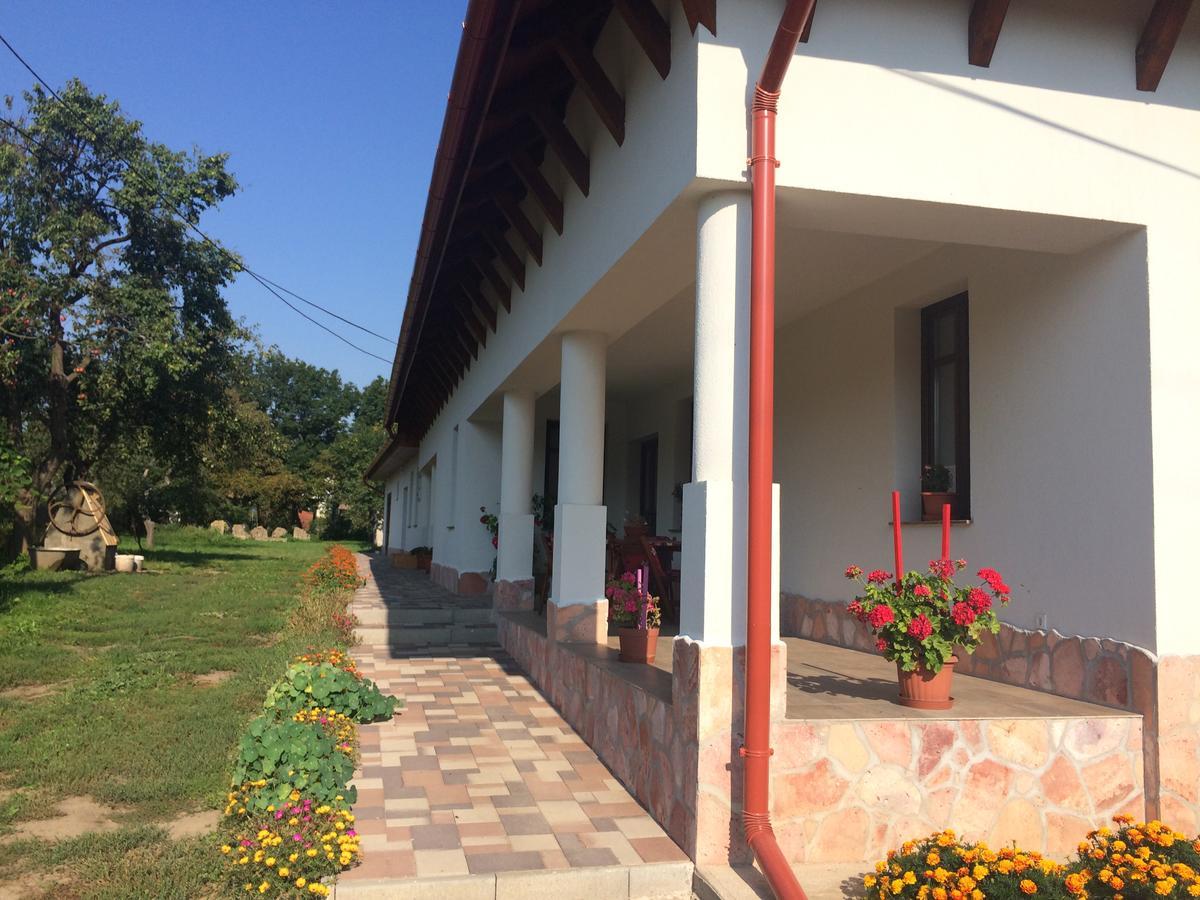 Bajusz Vendeghaz Hotel Tornyosnemeti Bagian luar foto