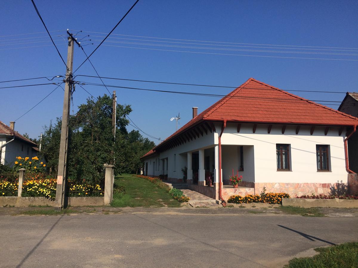 Bajusz Vendeghaz Hotel Tornyosnemeti Bagian luar foto