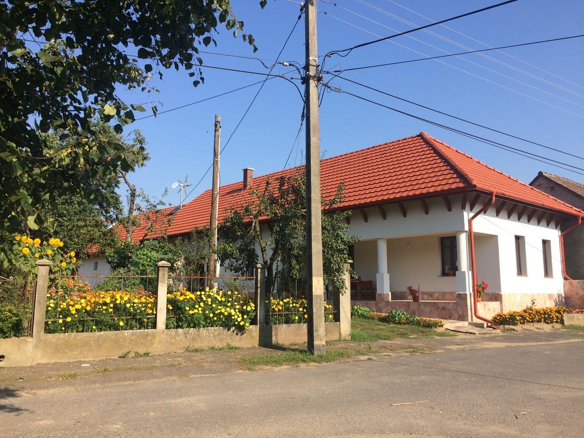 Bajusz Vendeghaz Hotel Tornyosnemeti Bagian luar foto