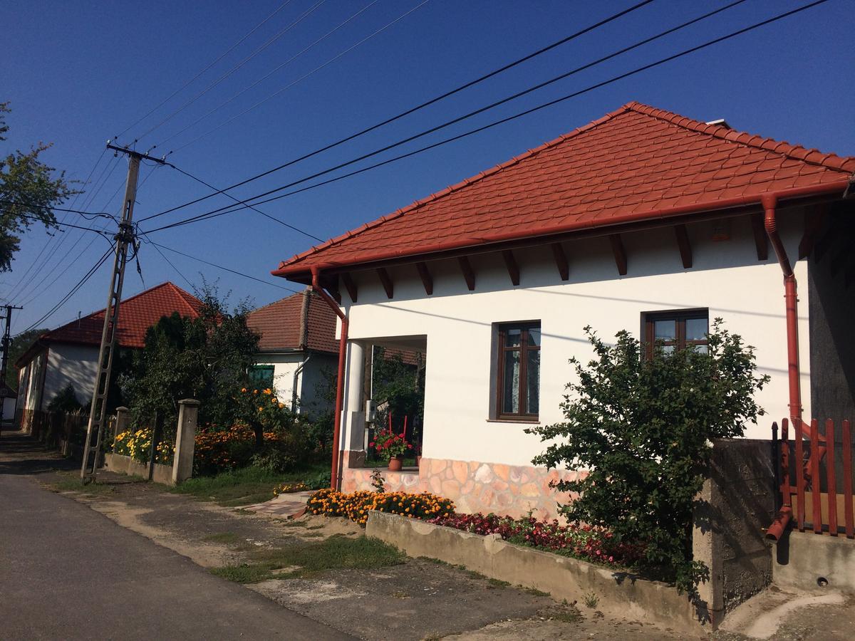 Bajusz Vendeghaz Hotel Tornyosnemeti Bagian luar foto