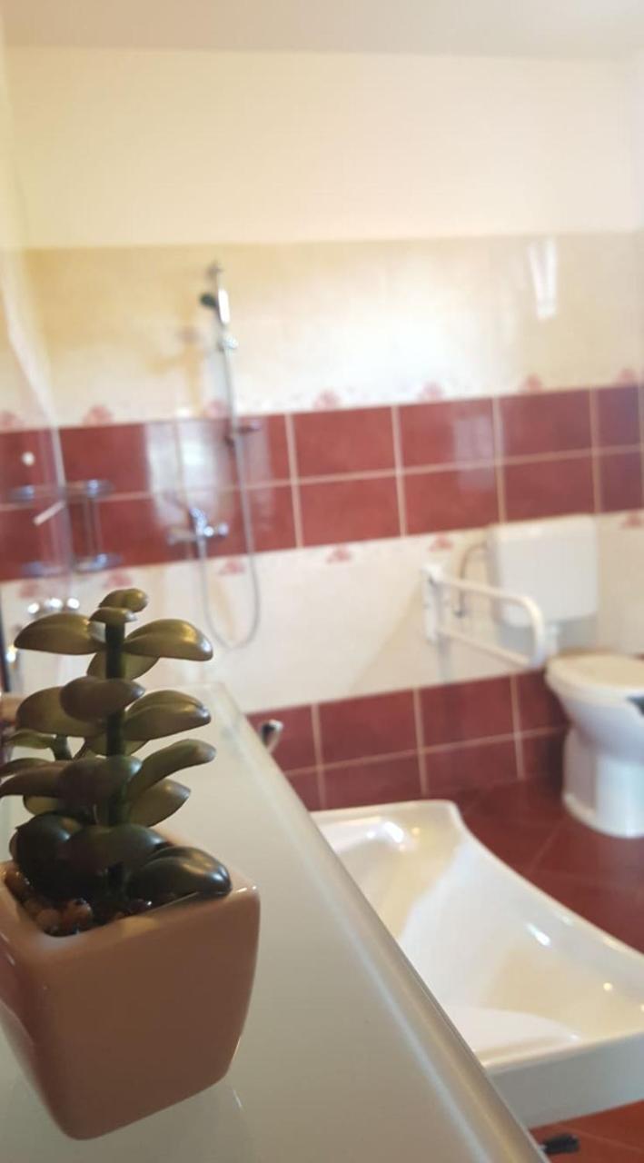 Bajusz Vendeghaz Hotel Tornyosnemeti Bagian luar foto